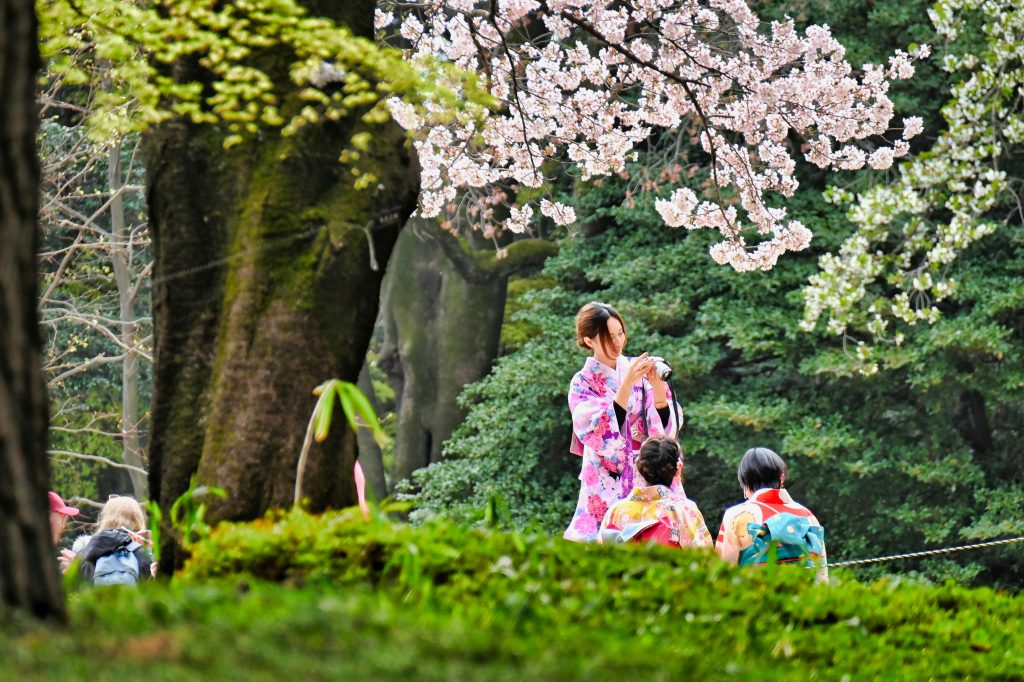 kimono yukata waseda