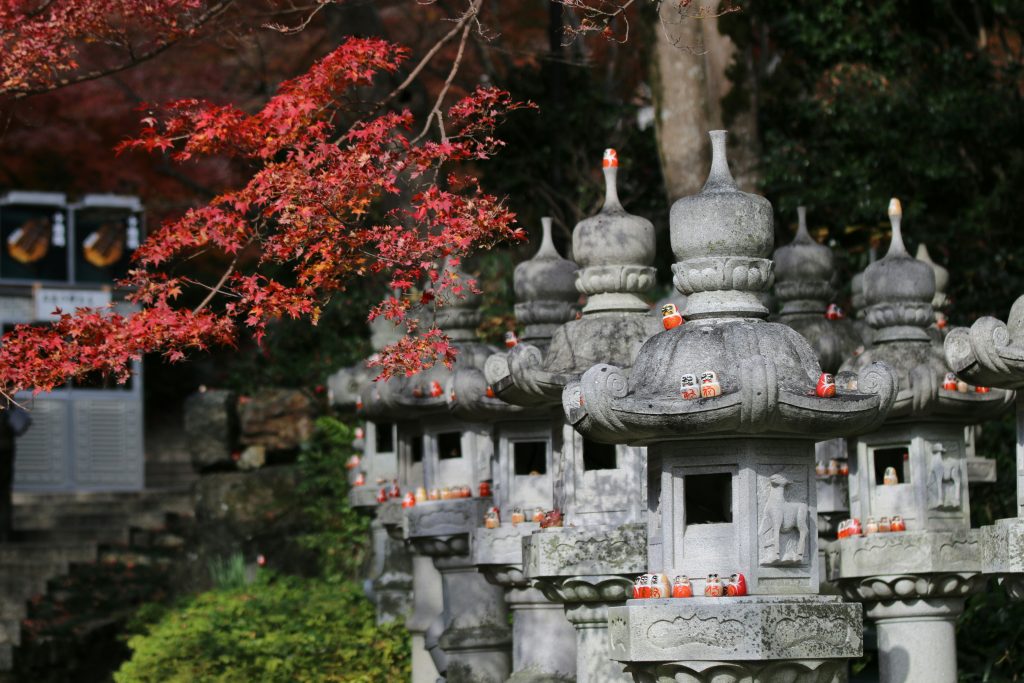 waseda daruma