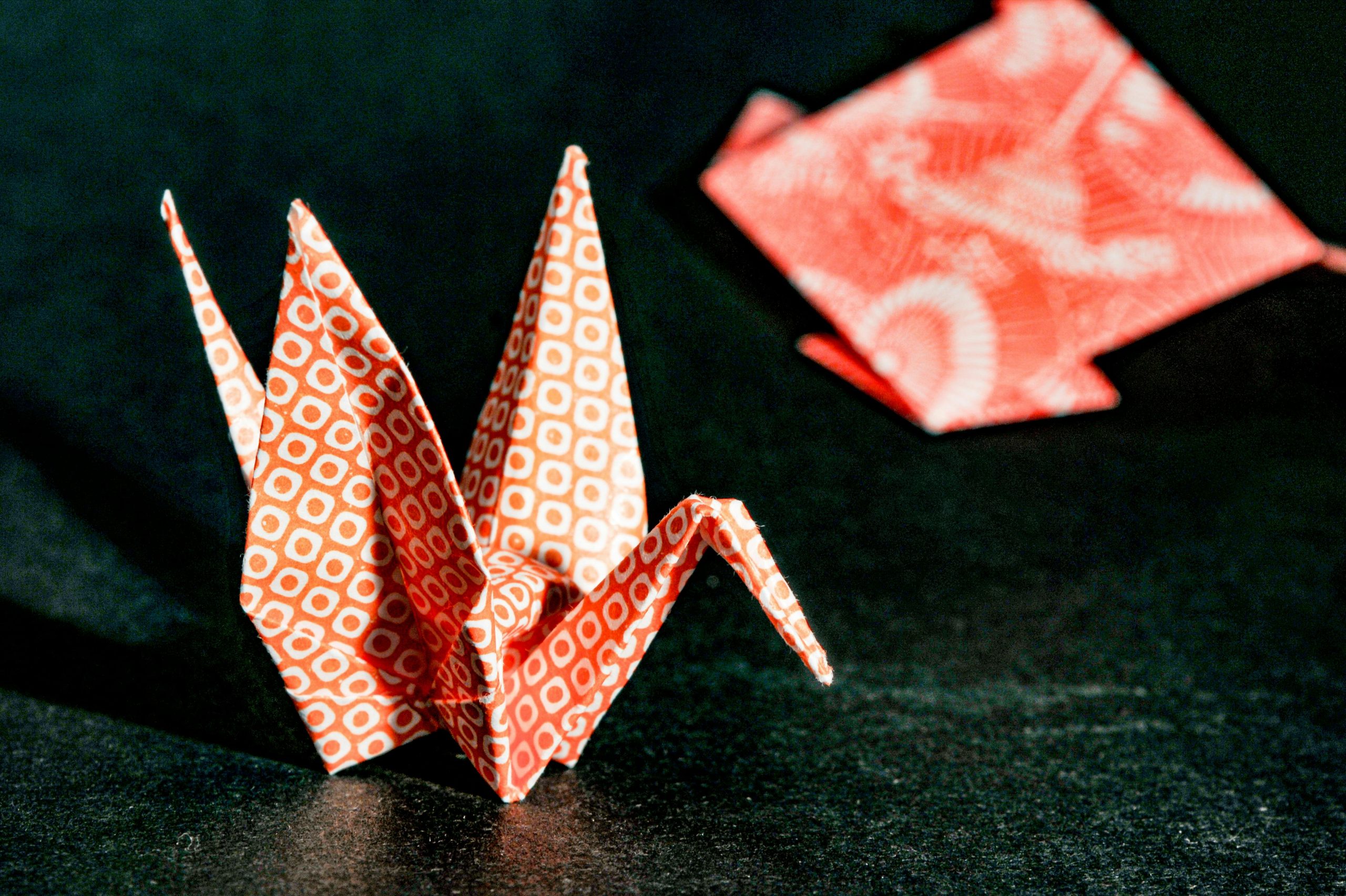 Waseda origami