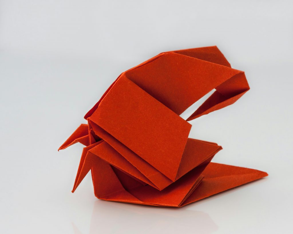 Waseda origami